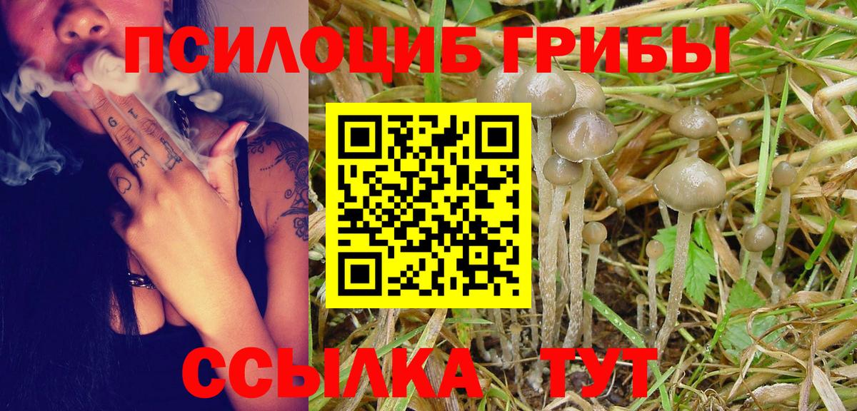 хочу наркоту  Псилоцибиновые грибы MAGIC MUSHROOMS  Вход с VPN  Ишим 